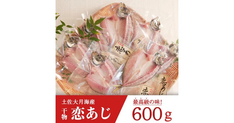 【ふるさと納税】土佐大月海産　高級アジの干物 恋あじ 600g