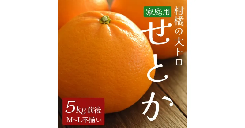 【ふるさと納税】【家庭用】柑橘の大トロ　「せとか 5kg前後」（ハウス栽培）