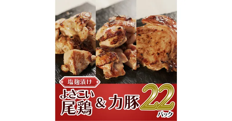 【ふるさと納税】塩麹につけたよさこい尾鶏と力豚のセット　22パック