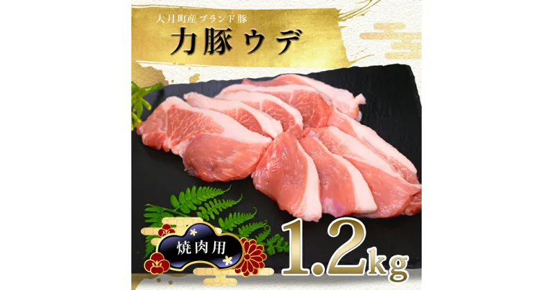 【ふるさと納税】【高知県 大月町産ブランド豚】力豚ウデ焼き肉用1.2kg