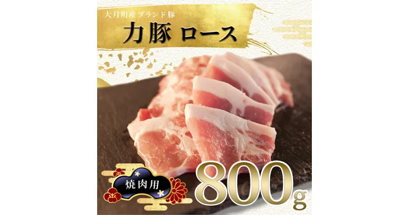 【ふるさと納税】【高知県 大月町産ブランド豚】力豚ロース　焼き肉用800g