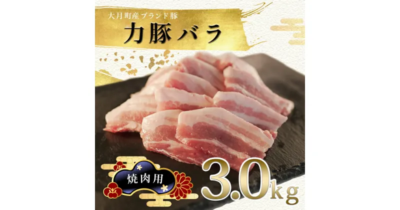 【ふるさと納税】【高知県 大月町産ブランド豚】力豚バラ　焼き肉用 3kg