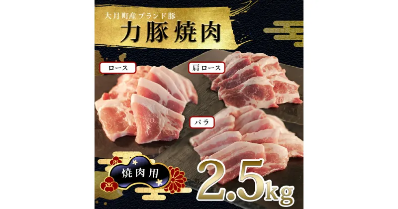 【ふるさと納税】【高知県 大月町産ブランド豚】力豚焼き肉2.5kgセット