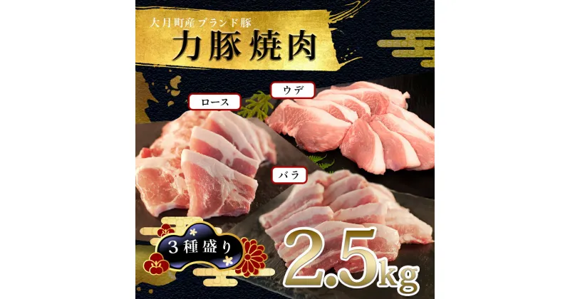 【ふるさと納税】【高知県 大月町産ブランド豚】力豚焼き肉 3種盛り2.5kg