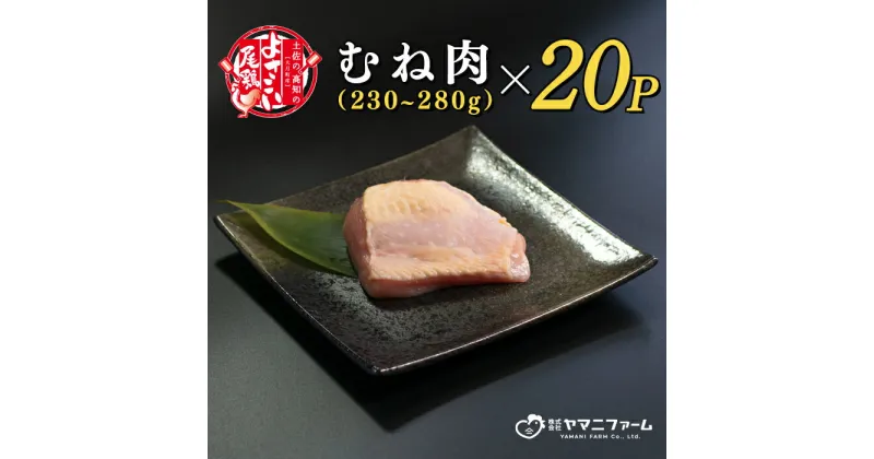 【ふるさと納税】【大月町のブランド鶏】よさこい尾鶏 むね肉 (230～280g)×20パック