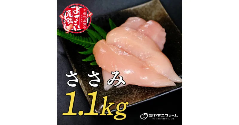 【ふるさと納税】【大月町のブランド鶏】よさこい尾鶏 ささみ（220g）×5パック