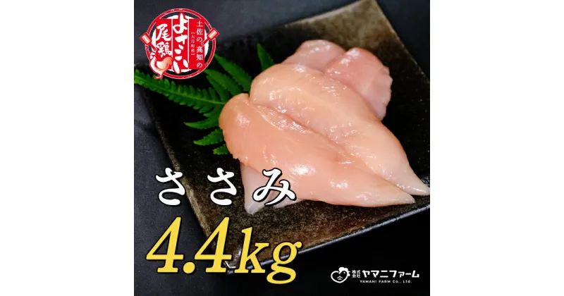 【ふるさと納税】【大月町のブランド鶏】よさこい尾鶏 ささみ（220g）×20パック