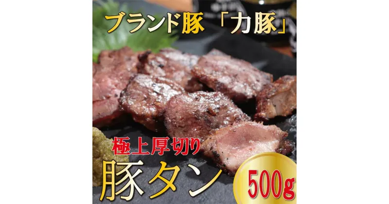 【ふるさと納税】【高知県大月町産ブランド豚】 力豚 極上厚切り豚タン　500g