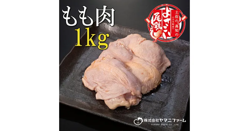 【ふるさと納税】【大月町のブランド鶏】よさこい尾鶏 もも肉1kg