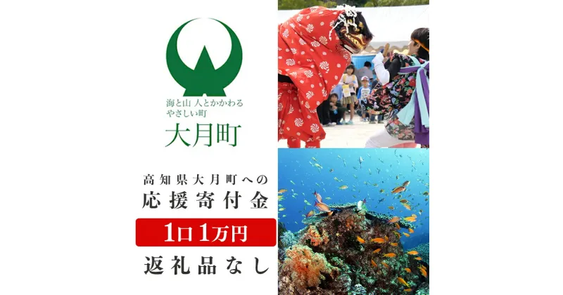 【ふるさと納税】高知県大月町への応援寄付金1万円　【返礼品なし】