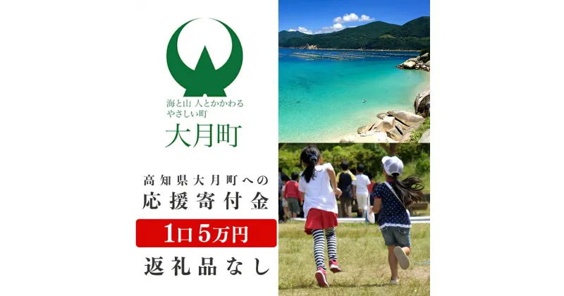 【ふるさと納税】高知県大月町への応援寄付金5万円　【返礼品なし】