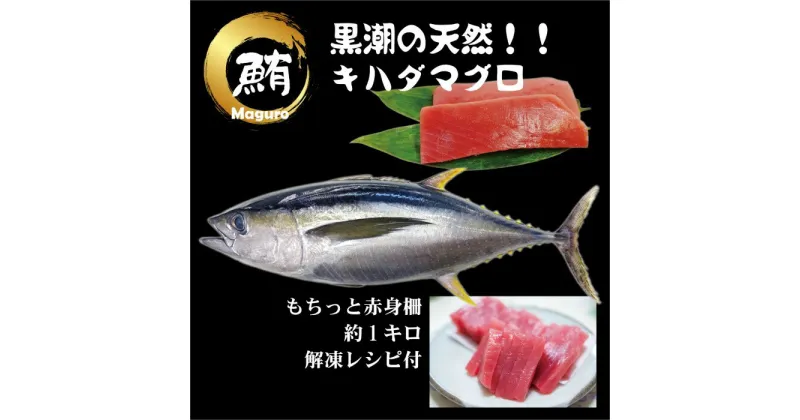 【ふるさと納税】【谷鮮魚食堂】天然キハダマグロ　赤身柵 約1kg