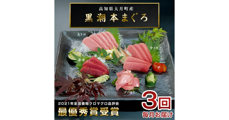 【ふるさと納税】【3回お届け】黒潮本マグロ 贅沢! 食べ比べセット