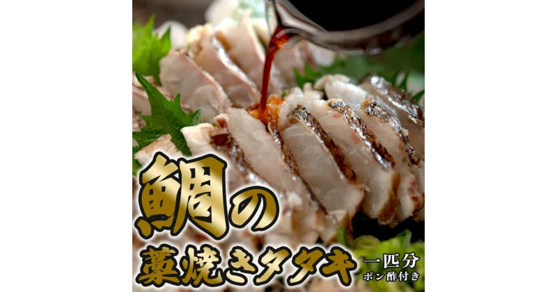 【ふるさと納税】鯛の藁焼きタタキ(1匹分)