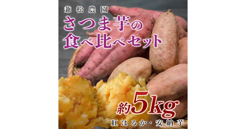 【ふるさと納税】【高知県 大月町産】兼松農園　さつま芋の食べ比べセット　5kg