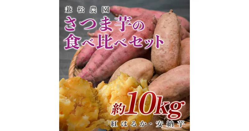 【ふるさと納税】【高知県 大月町産】兼松農園　さつま芋の食べ比べセット　10kg