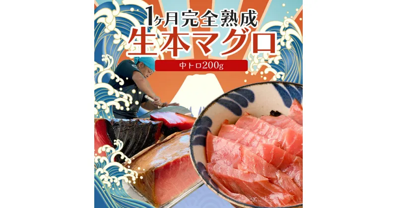 【ふるさと納税】【お正月の団らんに！】1ヶ月完全熟成 生本マグロ　中トロ200g