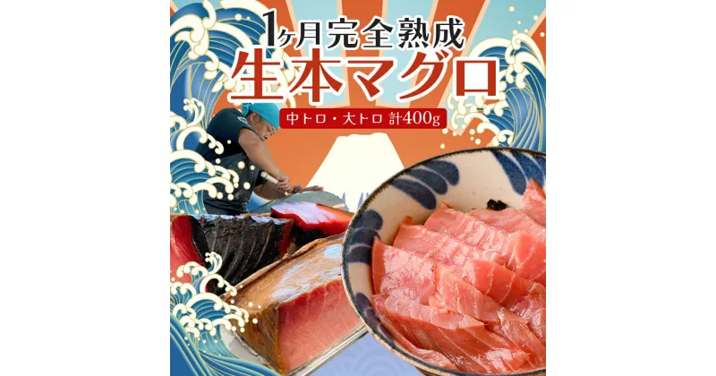 【ふるさと納税】【お正月の団らんに！】1ヶ月完全熟成 生本マグロ　中トロ・大トロ　計400g