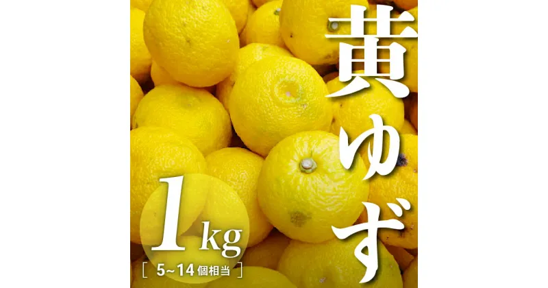 【ふるさと納税】三原村産　黄ゆず（キズあり、サイズ不揃い） 1kg