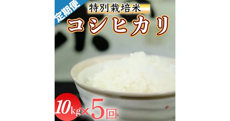 【ふるさと納税】令和6年産 (精白米)　特別栽培米　こしひかり10kg ×5回配送　(1回/月）