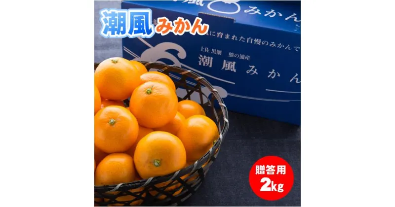 【ふるさと納税】商標登録 潮風みかん 2kg 高知県 黒潮町産（ 贈答 用） ［1398］