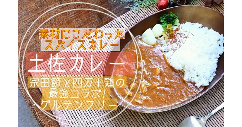 【ふるさと納税】素材にこだわった！ 宗田節 と 四万十鶏 の旨みたっぷり！ 土佐 カレー 5食セット 〔冷凍〕 スパイス ［1595］