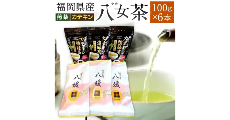 【ふるさと納税】福岡県産 八女茶 2種 100g×6本セット 八女 煎茶 八媛 カテキン強力茶 飲み比べ お茶 緑茶 日本茶 茶葉 お茶っ葉 緑茶ポリフェノール 乾燥 詰合せ 国産 福岡県 送料無料