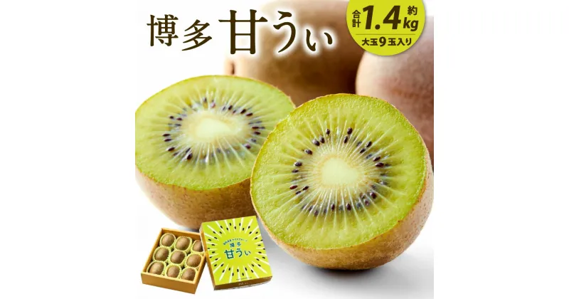 【ふるさと納税】【2024年11月上旬より順次発送】福岡県産 博多甘うぃ 約1.4kg (大玉9玉入り) キウイ キウイフルーツ 果物 フルーツ 旬 大玉 新品種 果実 甘み ジューシー 甘い 国産 福岡県限定生産 九州 送料無料