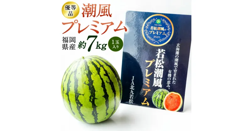 【ふるさと納税】福岡県北九州市若松産 【優等品】 潮風プレミアム西瓜 約7kg(1玉入り) すいか 果物 フルーツ 野菜 くだもの 旬 季節 新鮮 夏 高品質 西瓜 予約 国産 福岡県 九州 【2025年7月下旬から8月上旬発送予定】