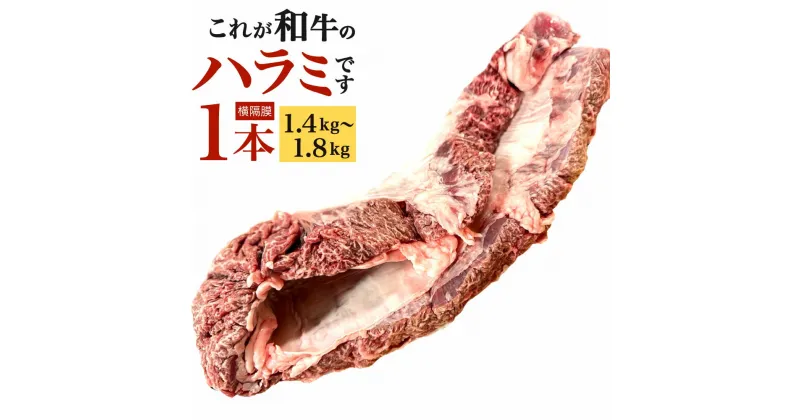 【ふるさと納税】〈冷蔵〉幻のハラミ これが和牛のハラミ(横隔膜)です 1本 (1.4kg～1.8kg) 牛ハラミ 牛肉 お肉 ハラミ まるごと 一本 和牛 新鮮 鮮度 ブロック 焼肉 バーベキュー BBQ 横隔膜 冷蔵 九州産 送料無料