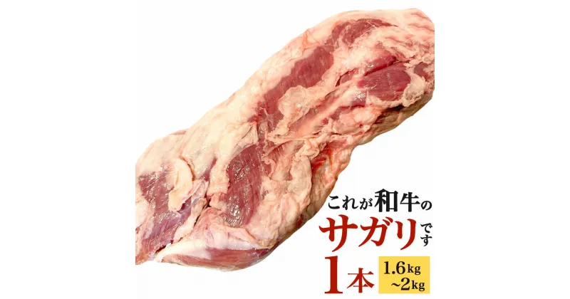 【ふるさと納税】〈冷蔵〉幻のサガリ これが和牛のサガリです 1本 (1.6kg～2kg) 牛サガリ 牛肉 お肉 サガリ まるごと 一本 和牛 新鮮 鮮度 ブロック 焼肉 バーベキュー BBQ 冷蔵 九州産 送料無料