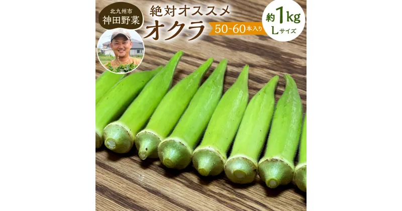 【ふるさと納税】神田野菜の絶対オススメ オクラ（ヘルシエ）1kg ( Lサイズ 50～60本 ) おくら 野菜 生野菜 やさい 水溶性 食物繊維 旬 新鮮 季節 鮮度 冷蔵 国産 福岡県 北九州市 【2024年7月上旬から12月下旬発送予定】