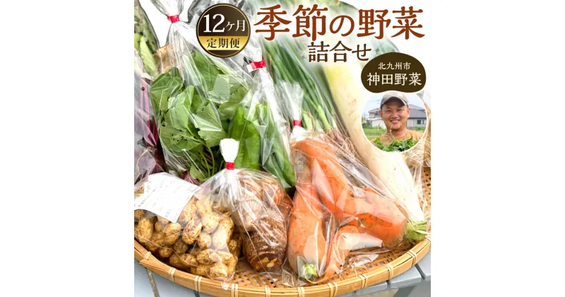 【ふるさと納税】【12回定期便】若松産 神田野菜季節の 野菜 詰め合わせ 12回 季節の野菜 新鮮 旬 鮮度 季節 生野菜 やさい 12ヶ月 冷蔵 国産 福岡県 北九州市