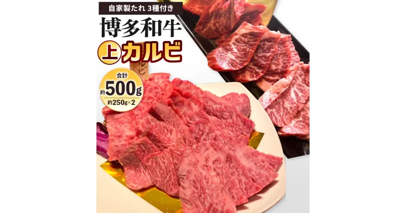 【ふるさと納税】博多和牛 上カルビ 約500g(約250g×2パック) 自家製たれ3種付き 牛カルビ 牛肉 お肉 国産牛 カルビ バーベーキュー BBQ アウトドア 焼き肉 焼肉 国産 福岡県 冷凍