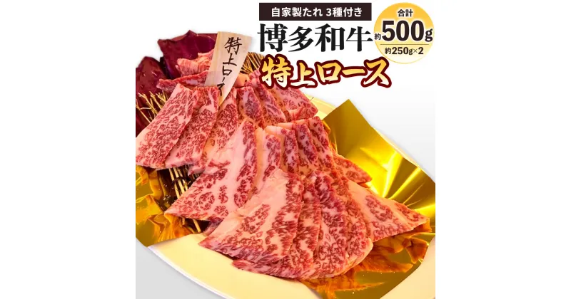 【ふるさと納税】博多和牛 特上ロース 約500g(約250g×2パック) 自家製たれ3種付き 牛ロース 牛肉 お肉 国産牛 特上 ロース バーベーキュー BBQ アウトドア 焼き肉 焼肉 国産 福岡県 冷凍