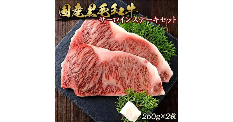 【ふるさと納税】博多和牛サーロインステーキセット　500g（250g×2枚） | 福岡県 福岡市 九州 楽天ふるさと 納税 返礼品 返礼 お取り寄せグルメ グルメ お取り寄せ 博多 サーロイン サーロインステーキ 牛肉 ステーキ 牛 和牛 お肉 肉 博多和牛 ステーキ肉 美味しい肉