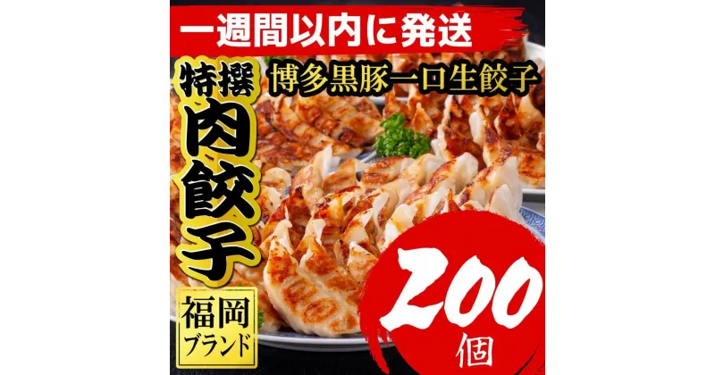 【ふるさと納税】餃子 博多黒豚一口生餃子 200個入 (8パック)【1週間以内に発送！】調理説明付 | 博多一口餃子 福岡市 餃子 ぎょうざ ギョーザ 小分け 惣菜 人気 おすすめ 中華 ラーメン店 冷凍便 楽天ふるさと 納税 返礼品 特産品 名産品 お取り寄せグルメ