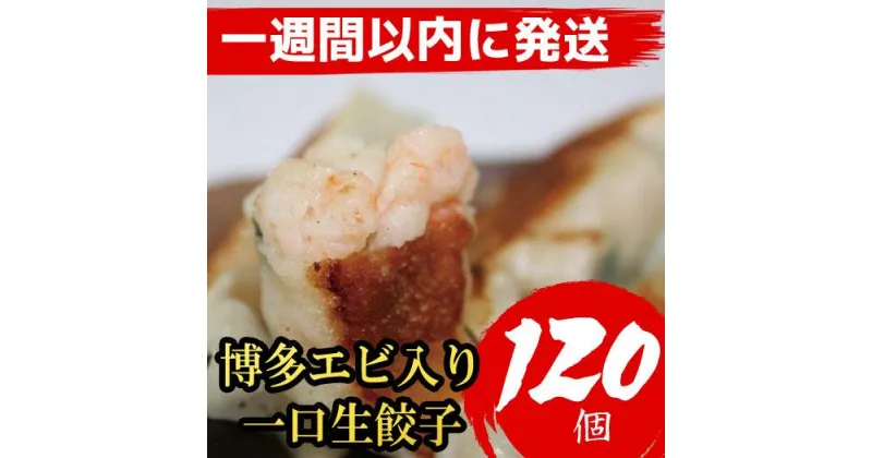 【ふるさと納税】餃子 博多 エビ入り 一口生餃子 120個 (15個×8パック)【1週間以内に発送！】作り方説明付き | 博多一口餃子 福岡市 餃子 ぎょうざ ギョーザ 小分け 一口サイズ えび 惣菜 人気 おすすめ 中華 冷凍便 楽天ふるさと 納税 返礼品 特産品 お取り寄せグルメ