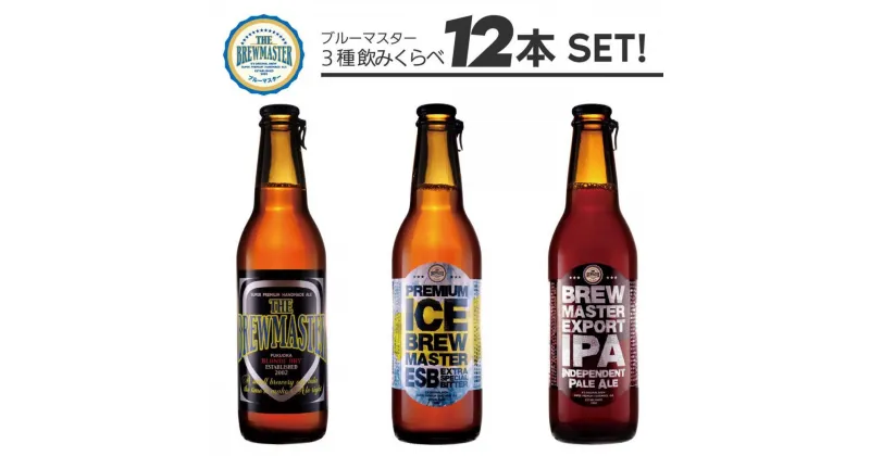 【ふるさと納税】福岡市発クラフトビール　ブルーマスター スタンダード3種x4本　330ml×12本セット | お酒 さけ ビール　クラフトビール　人気 おすすめ 送料無料 ギフト