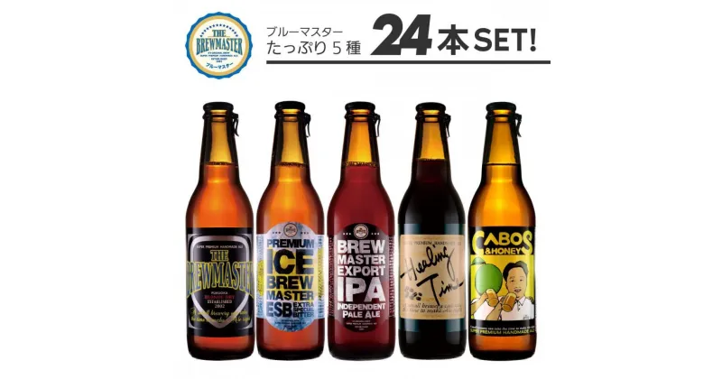 【ふるさと納税】福岡市発クラフトビール　 5種バラエティーセット　330ml×24本 | お酒 さけ ビール　クラフトビール　人気 おすすめ 送料無料 ギフト