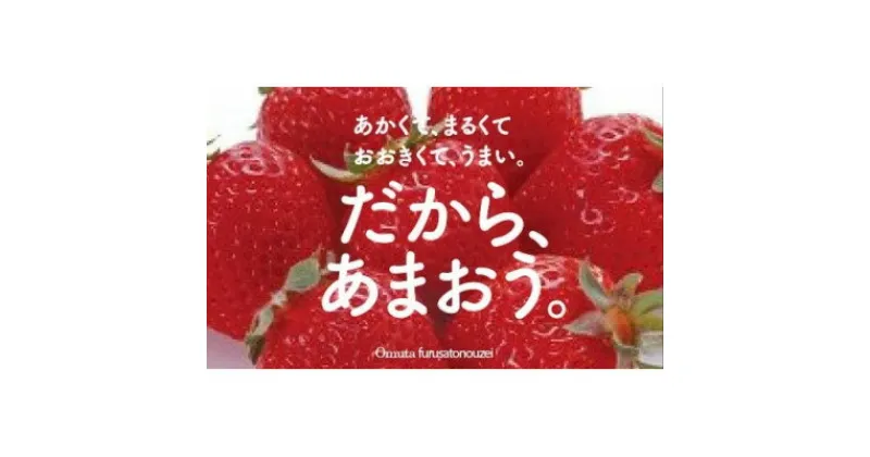 【ふるさと納税】【期間限定】あまおうDX(デラックス)4パック(大牟田市)【配送不可地域：離島・北海道・沖縄県・東北】【1550974】