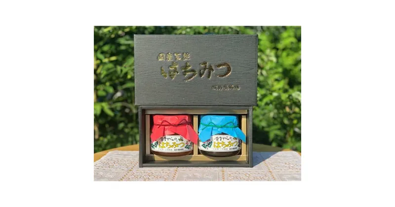 【ふるさと納税】坂井養蜂場　昔ながらの蜂蜜　550g　2本組【1089941】