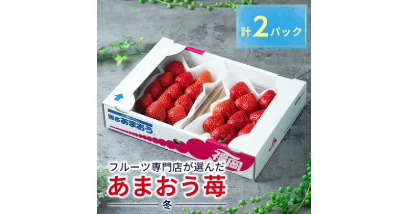 【ふるさと納税】酸味と甘みの絶妙なバランス・冬あまおう2パック(大牟田市)【配送不可地域：離島・北海道・沖縄県】【1226658】