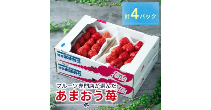 【ふるさと納税】酸味と甘みの絶妙なバランス・冬あまおう4パック(大牟田市)【配送不可地域：離島・北海道・沖縄県】【1226660】