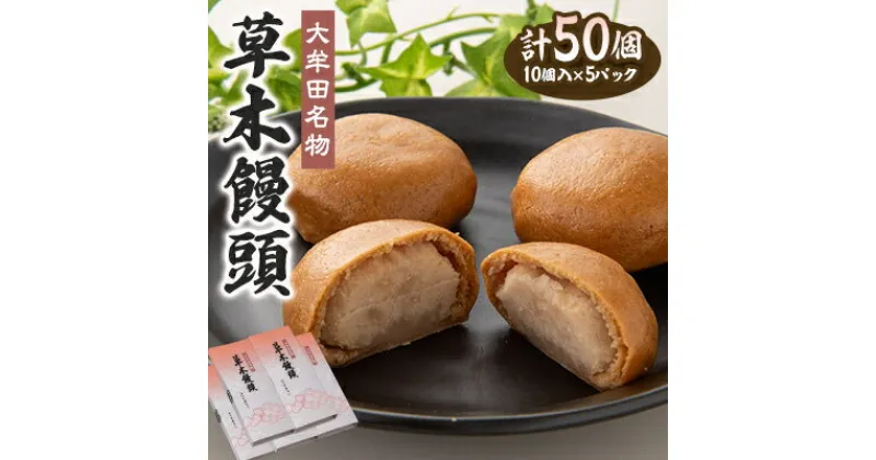 【ふるさと納税】大牟田名物　江口栄商店　草木饅頭　50個入【1487650】