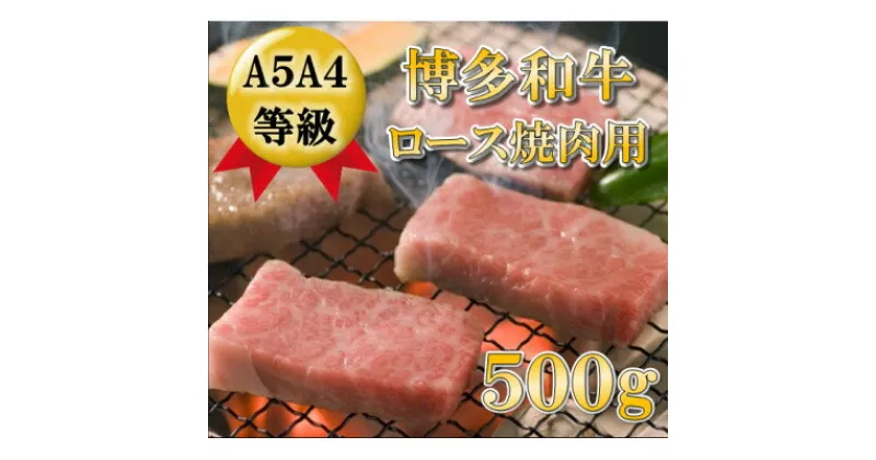 【ふるさと納税】【A5A4等級使用】博多和牛ロース焼肉用500g(大牟田市)【配送不可地域：離島】【1288268】