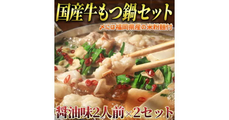 【ふるさと納税】もつ鍋 醤油味2人前×2セット(合計4人前)(米粉麺付)(大牟田市)【配送不可地域：離島】【1289103】