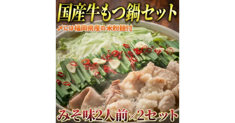 【ふるさと納税】もつ鍋 みそ味2人前×2セット(合計4人前)(米粉麺付)(大牟田市)【配送不可地域：離島】【1289104】