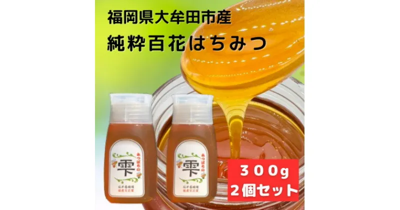 【ふるさと納税】みつばちの雫　300g×2個セット　国産蜂蜜【1452807】