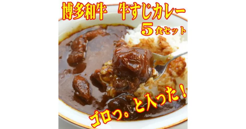 【ふるさと納税】博多和牛　牛すじカレー5食セット　じっくり煮込んだバリうま!ゴロッと入ったコラーゲン♪(大牟田市)【1462615】